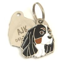 pet tag engraved 2014090402.jpg Namnbrickor för hundar MjavHov - Graverade ID-brickor webbshop